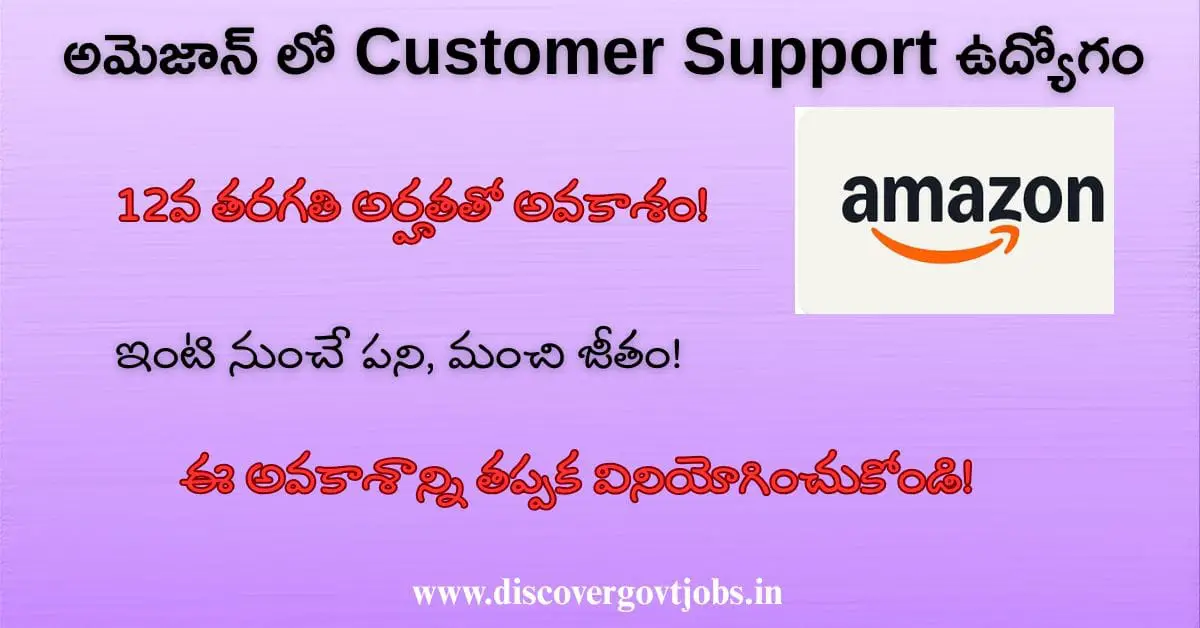 Amazon Work From Home Job 2025