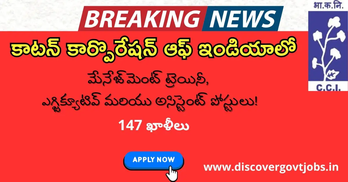 CCI Recruitment 2025