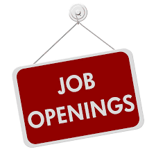 discovergovtjobs.in homepage image